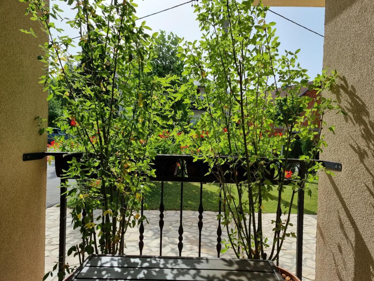 Zrinka House Otel Grabovac  Oda fotoğraf